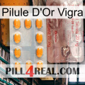 Vigra Gold Pill new13